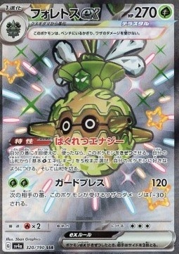 Forretress ex 320/190 – Shiny Treasure ex [EX]